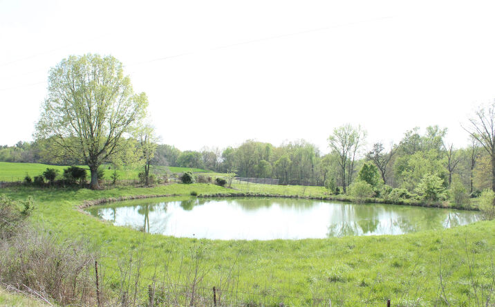 Pictures of Land property located at 195 Old Jackson Road, Trenton, TN 38382 for sales - image #1