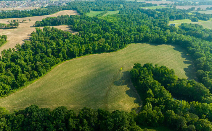 Pictures of Land property located at Bobbitt Road, Medina, TN 38355 for sales - image #1