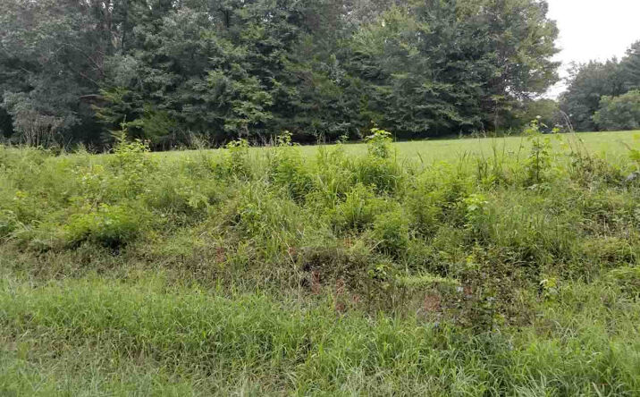 Pictures of Land property located at 207 Parkburg (Lot 8), Jackson, TN 38301 for sales - image #1