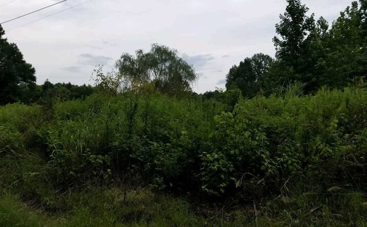 Pictures of Land property located at 193 Parkburg (Lot 20) Road, Jackson, TN 38301 for sales - image #1