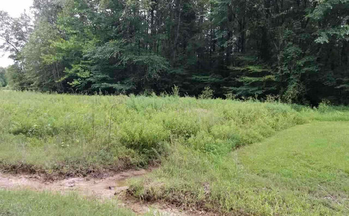 Pictures of Land property located at 8 Donnet (Lot 10) Cove, Jackson, TN 38301 for sales - image #1