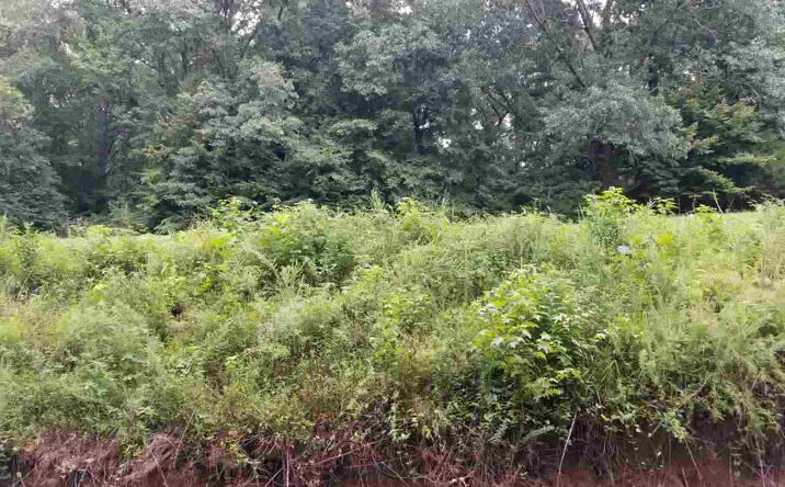 Pictures of Land property located at 205 Parkburg (Lot 9) Road, Jackson, TN 38301 for sales - image #1