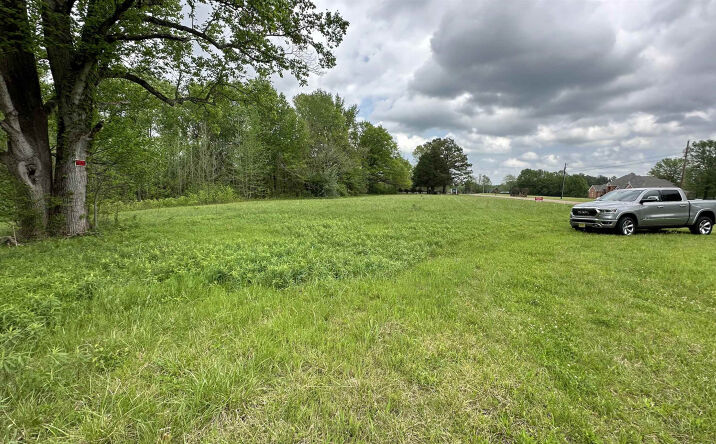 Pictures of Land property located at 3505 Christmasville Rd Tract 2 Road, Oakfield, TN 38362 for sales - image #1