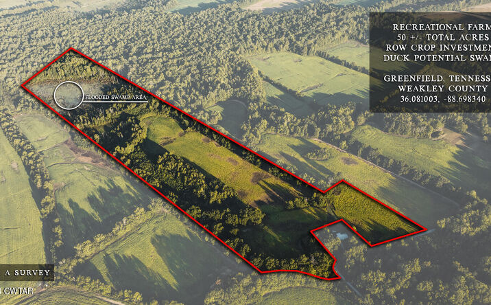 Pictures of Land property located at 512 W Mitchell, Greenfield, TN 38230 for sales - image #1