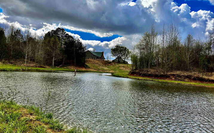 Pictures of Land, Multifamily, Special Purpose property located at 5334 Ira Barker Road, Obion, TN 38240 for sales - image #1