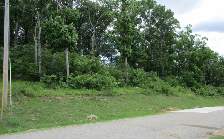 Pictures of Land property located at Lot 86 Adam LP, Bath Springs, TN 38311 for sales - image #1