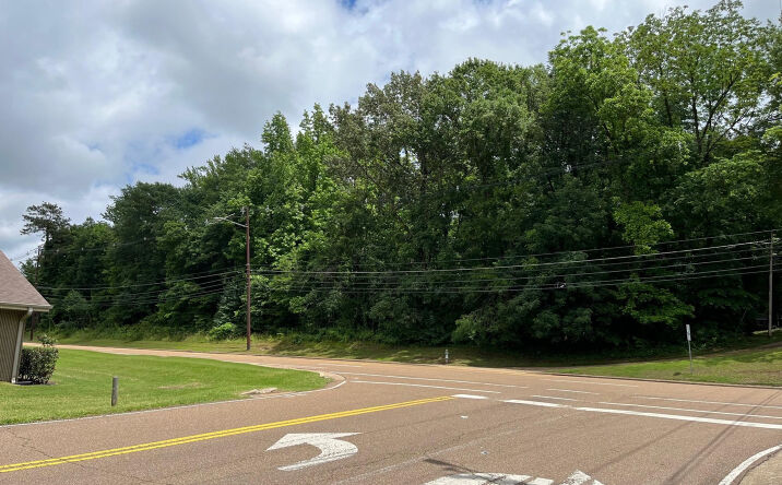 Pictures of Land property located at 710 LAKE ROAD Road, Dyersburg, TN 38024 for sales - image #1