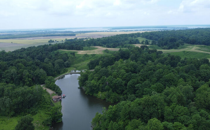 Pictures of Land property located at 6108 Webb Store Road, Hornbeak, TN 38232 for sales - image #1
