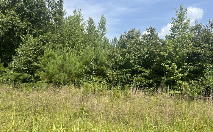 Pictures of Land property located at 000 Sweetlips Road, Henderson, TN 38340 for sales - image #1