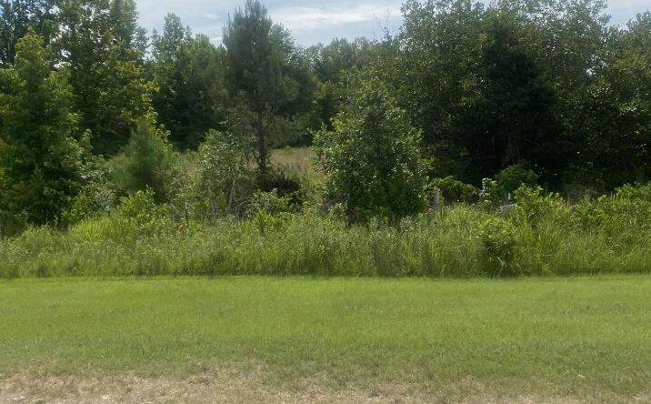 Pictures of Land property located at 00 CANDLEWOOD CW 17, Saulsbury, TN 38067 for sales - image #1