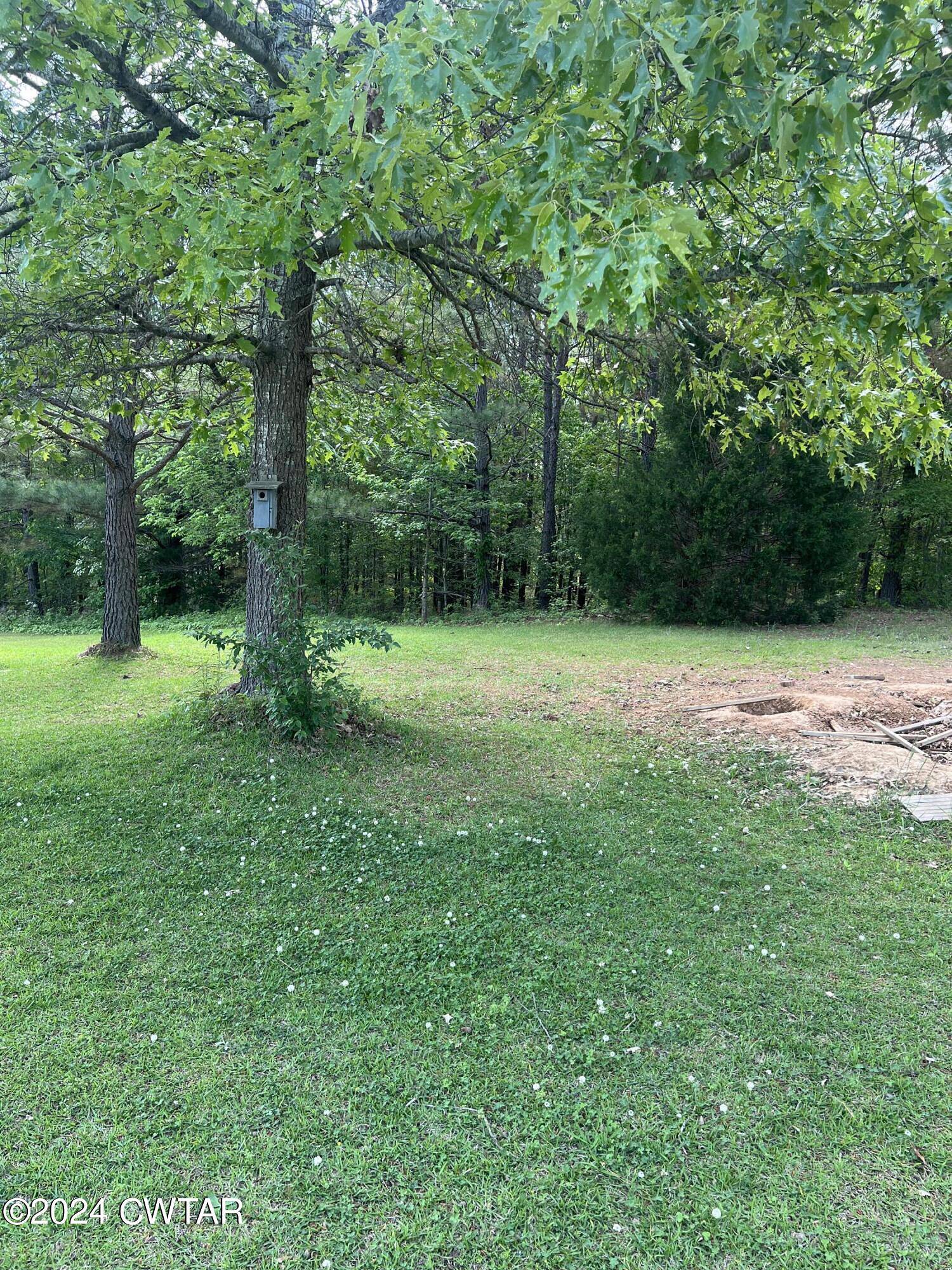 115 Calvin Dr, Jackson, TN 38301
