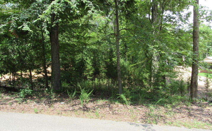 Pictures of Land, Multifamily property located at 0 Brown Bluff Lane, Sugar Tree, TN 38380 for sales - image #1