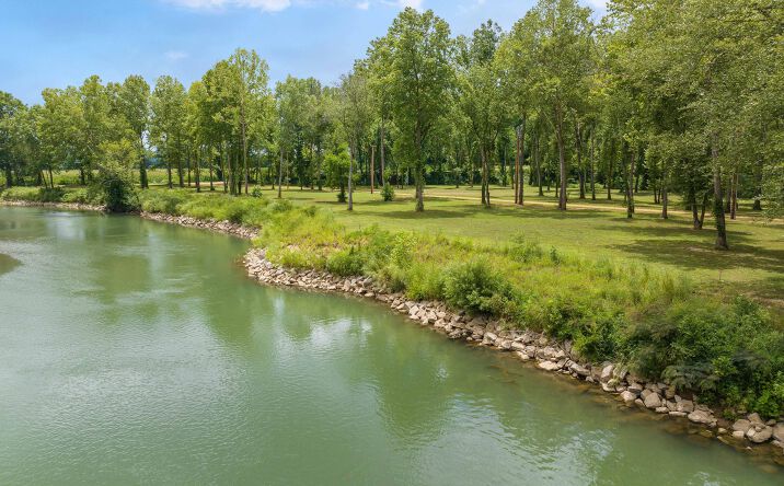 Pictures of Land property located at Lot 14 Campers Lane, Linden, TN 37096 for sales - image #1
