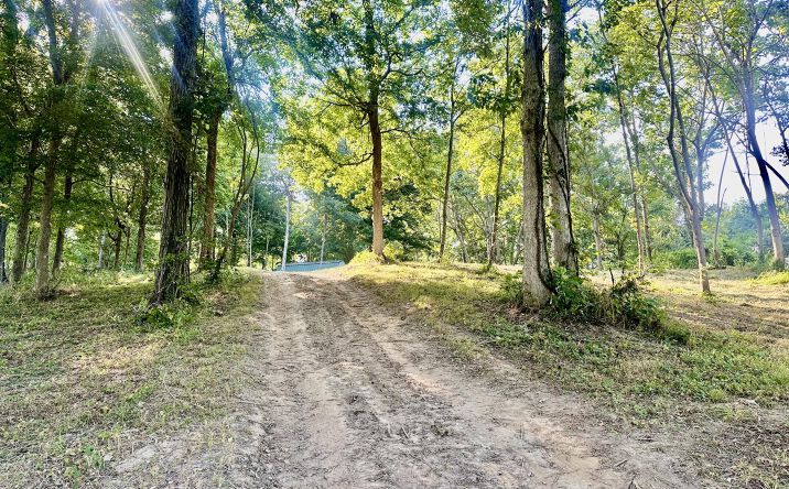 Pictures of Land property located at 3411 Cecil Roberts Road, Troy, TN 38260 for sales - image #1