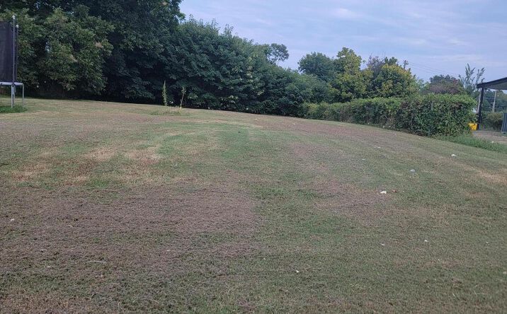 Pictures of Land property located at 136 Mobile Street, Jackson, TN 38301 for sales - image #1