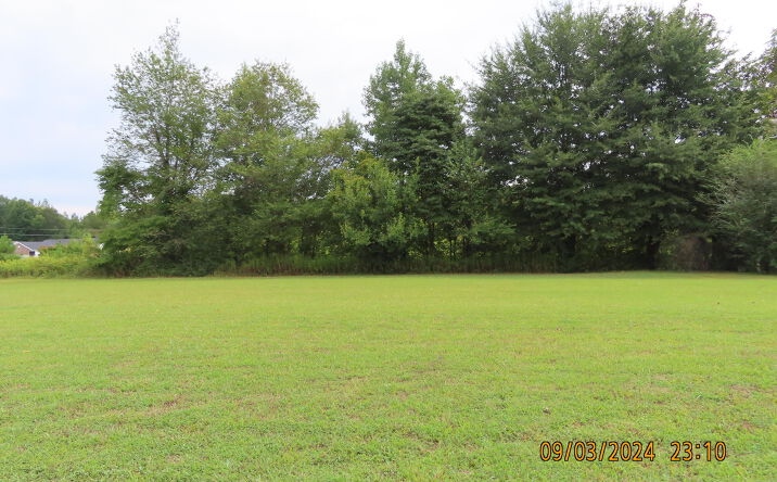 Pictures of Land property located at 254 Rhea Street, Jackson, TN 38301 for sales - image #1