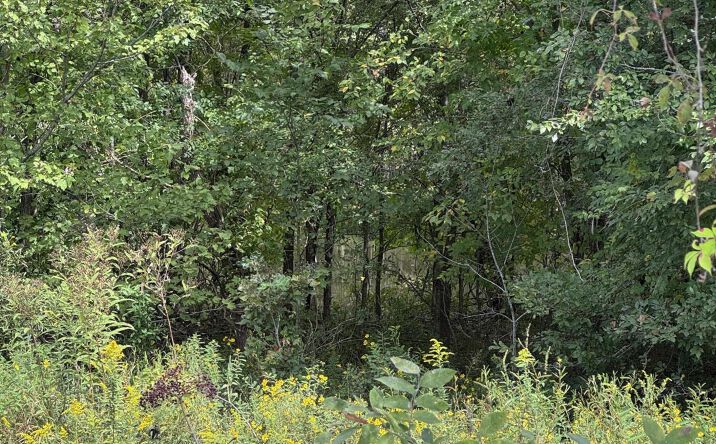Pictures of Land, Multifamily property located at 444 Charlie Lewis Road, Trenton, TN 38382 for sales - image #1