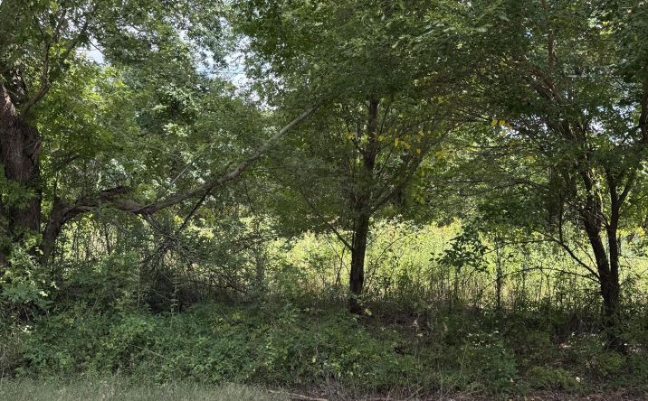 Pictures of Land, Multifamily property located at 333 Charlie Lewis Road, Trenton, TN 38382 for sales - image #1