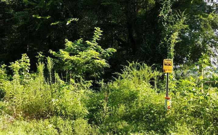 Pictures of Land property located at 817 Hill, Henderson, TN 38340 for sales - image #1