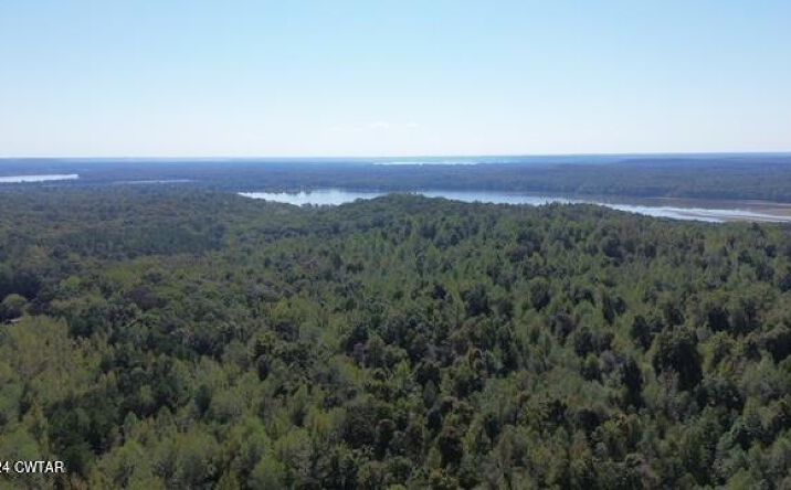 Pictures of Land, Multifamily property located at 000 Sales Landing Rd, Camden, TN 38320 for sales - image #1