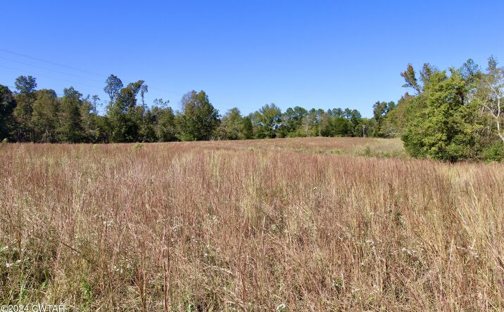 Pictures of Land, Multifamily property located at 000 Old Stage Road, Decaturville, TN 38329 for sales - image #1
