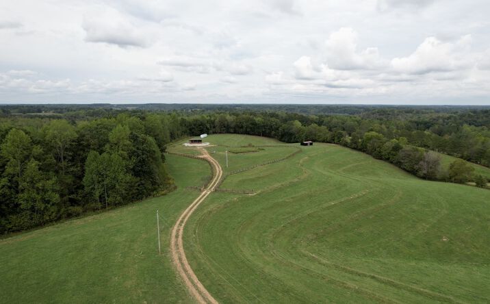 Pictures of Land property located at 68 Bassham Rd, Five Points, TN 38457 for sales - image #1