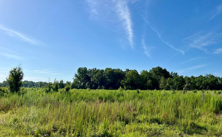 Pictures of Land property located at Tucker Grove Church Rd, Wrightsville, GA 31096 for sales - image #1