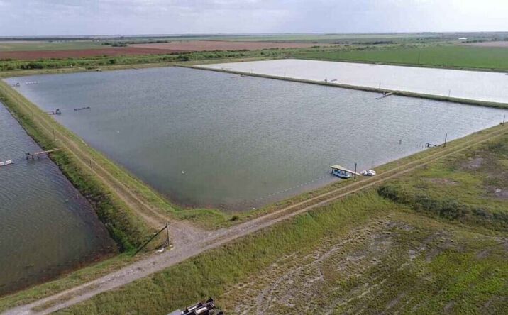 Pictures of Land, Business for Sale property located at 7979 Goyo Garcia Rd, Raymondville, TX 78580 for sales - image #1