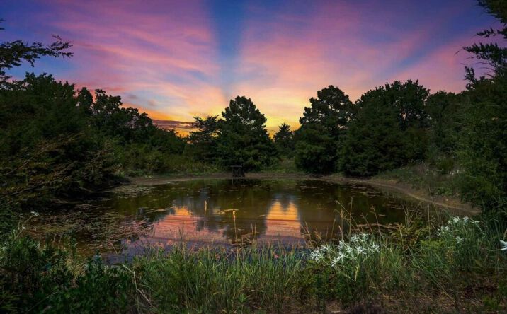 Pictures of Land property located at 4700 County Rd 1040, Celeste, USA 75423 for sales - image #1