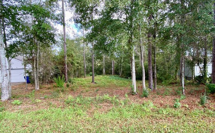 Pictures of Land property located at 941 W. Lakeshore Drive, Carriere, MS 39426 for sales - image #1