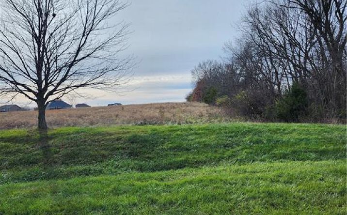 Pictures of Land property located at State Rt. EE Road, Harrisonville, MO 64701 for sales - image #1