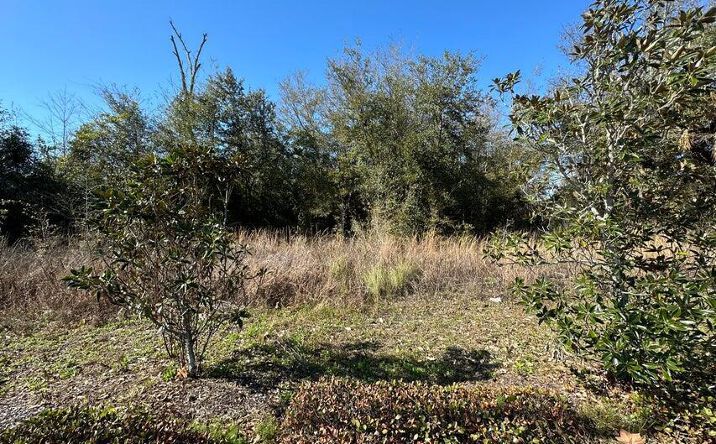 Pictures of Land property located at 913 Mlk Boulevard, Panama City, FL 32401 for sales - image #1