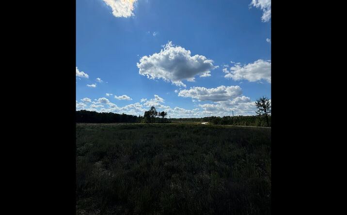 Pictures of Land property located at Highway 46, Sheridan, AR 72150 for sales - image #1