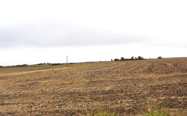 Pictures of Land property located at Co Rd 420, Thorndale, TX 76577, Co Rd 420, Thorndale, TX 76574 for sales - image #1