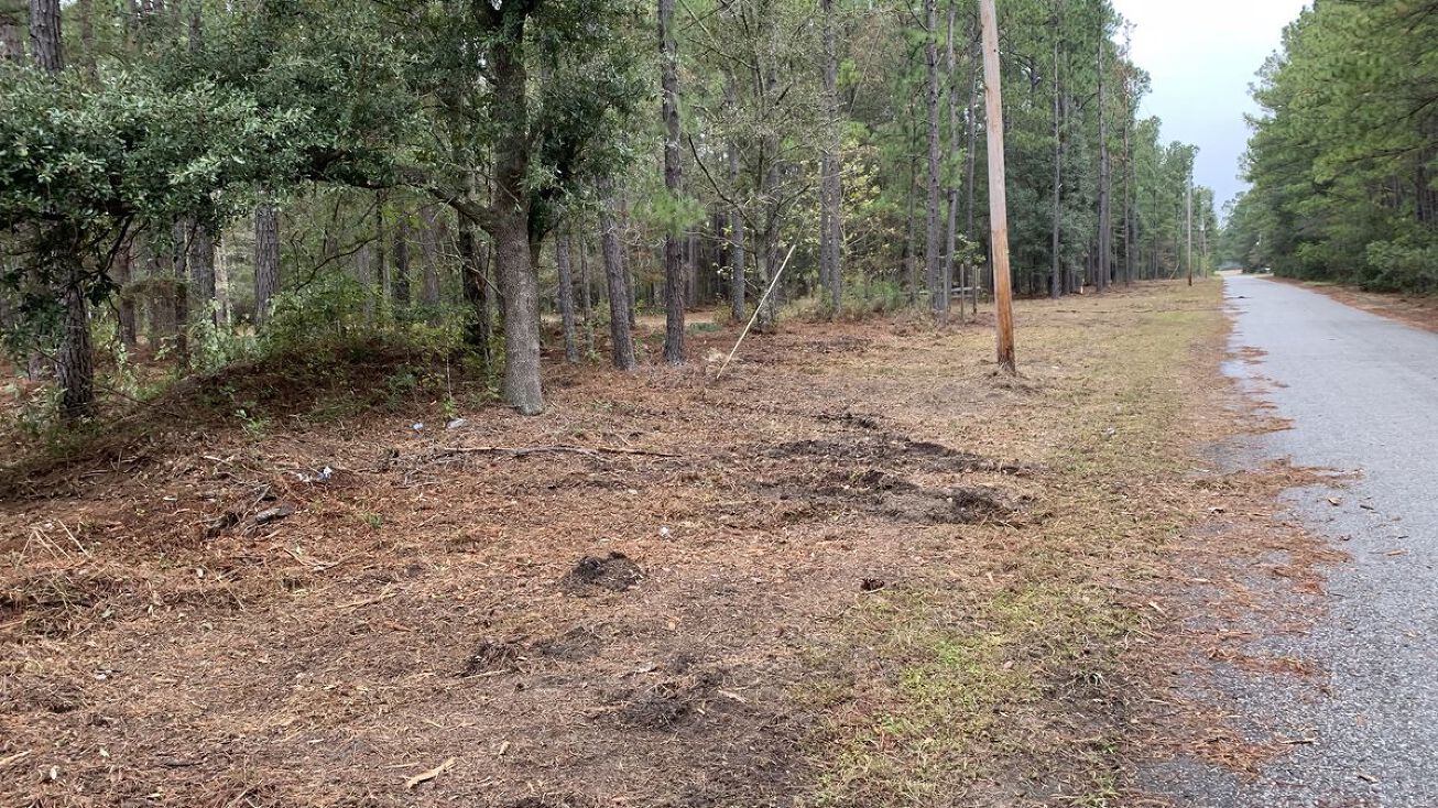 4938 Woodville Rd, Awendaw, SC 29429