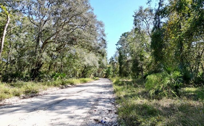 Pictures of Land property located at Vac SE Suwannee Ave, Branford, FL 32066 for sales - image #1