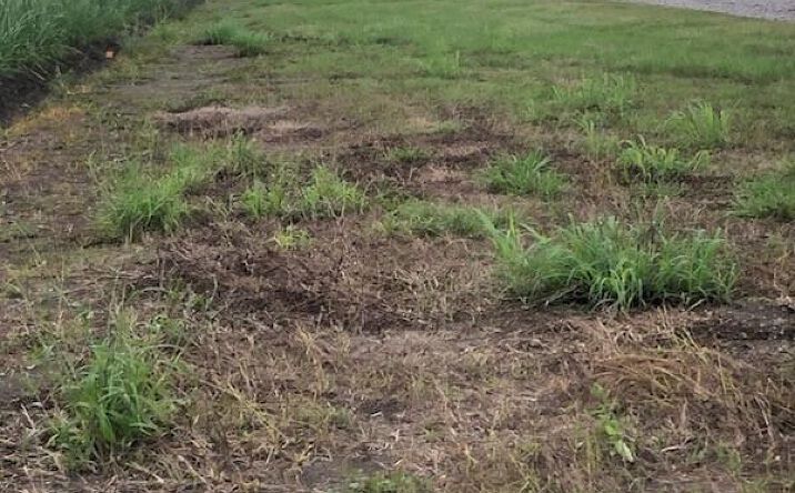 Pictures of Land property located at Tbd Main Highway, St__martinville, LA 70582 for sales - image #1