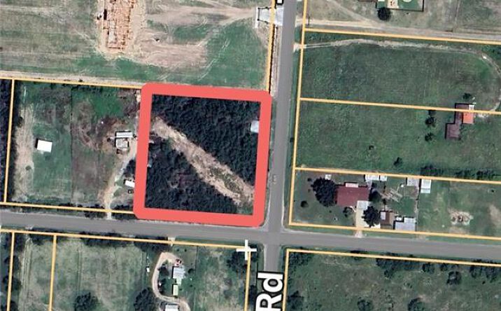 Pictures of Land property located at 2-acres Texan Road, Mission, TX 78574 for sales - image #1