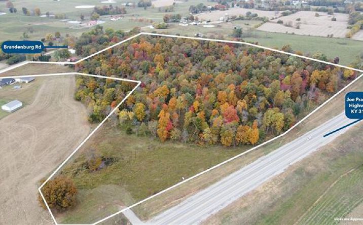 Pictures of Land property located at 23619 Joe Prather Hwy., Ekron, KY 40117 for sales - image #1