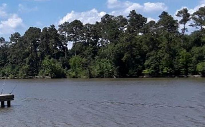 Pictures of Land property located at 4 Oaks Ranch Rd, Vidor, TX 77662 for sales - image #1