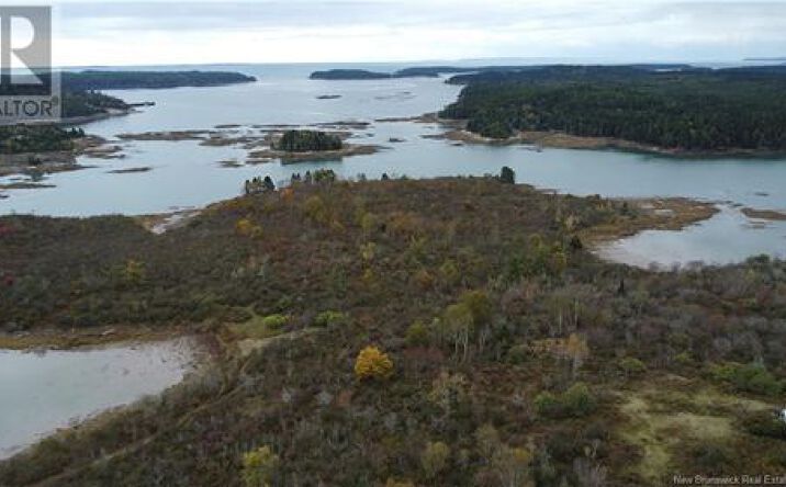 Pictures of Land property located at Highway 172, Letang, New Brunswick, Canada E5C1Z9, Westmoreland, CA 03467 for sales - image #1