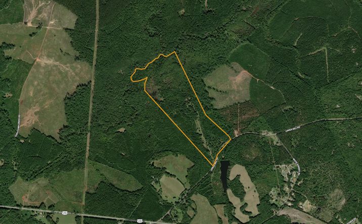 Pictures of Land property located at Upper Mill Rd, undefined, SC 29835 for sales - image #1