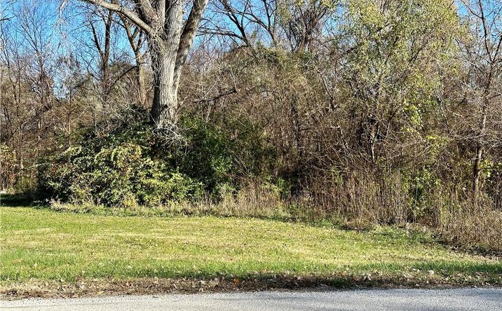 Pictures of Land property located at Lots, 7,8,9 Monument Road, Wathena, KS 66090 for sales - image #1