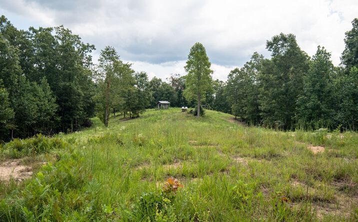 Pictures of Land property located at 694 Napier Road, Hohenwald, TN 38462 for sales - image #1