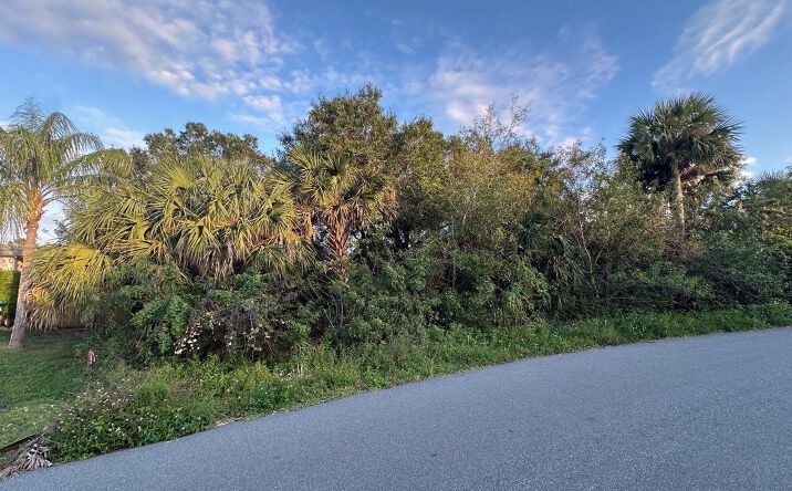 Pictures of Land property located at 2961 Palisades Drive SE, Palm Bay, FL 32909 for sales - image #1