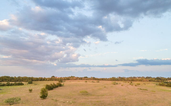 Pictures of Land property located at 8525 Farm-To-Market Rd 2754, Brenham, TX 77833 for sales - image #1
