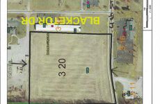 20775431