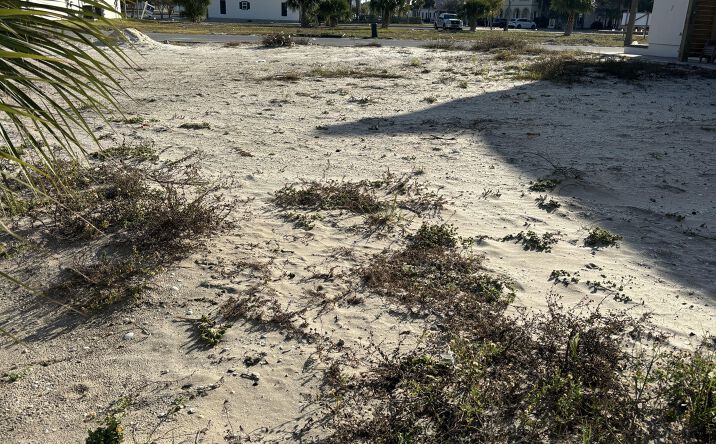 Pictures of Land property located at Lot 9 Dockside Drive, Port St. Joe, FL 32456 for sales - image #1