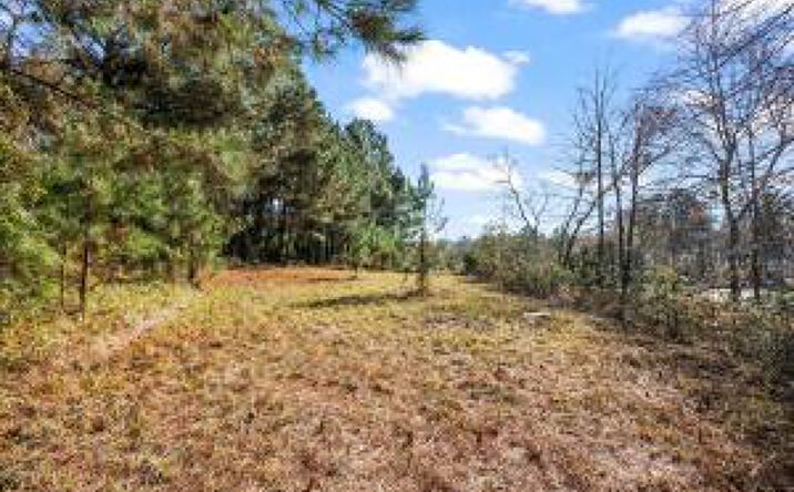 Pictures of Land property located at Lot 16 Reeves Street, Aiken, SC 29805 for sales - image #1