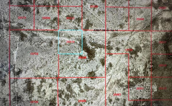 Pictures of Land property located at TBD, Pecos, US 48389 for sales - image #1